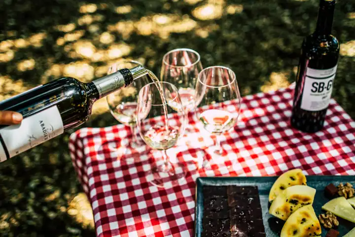 Fine Wines Of Spain Spain Wine Tour FEATURE