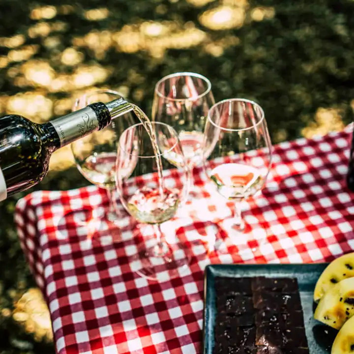 Fine Wines Of Spain Spain Wine Tour FEATURE