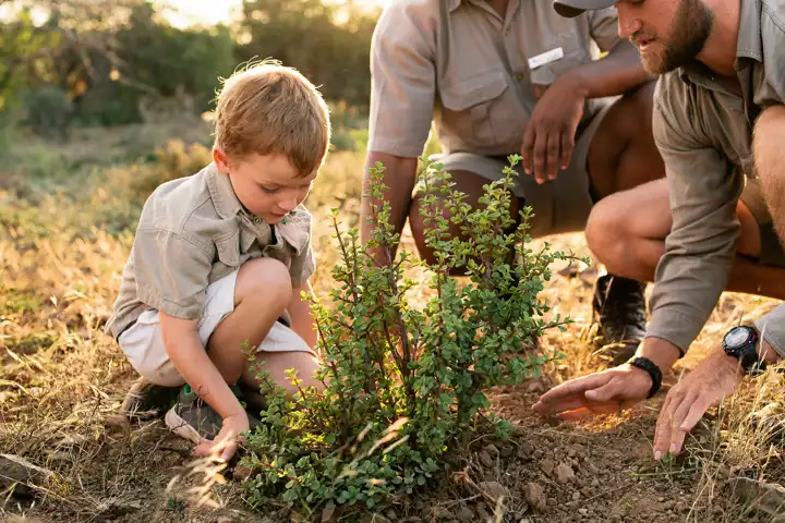 A South Africa Family Safari Feature Kwandwe Private Game Reserve