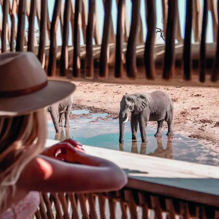 Belmond_Elephant_Lodge