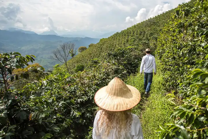 Colombia Quick Getaway FEATURE