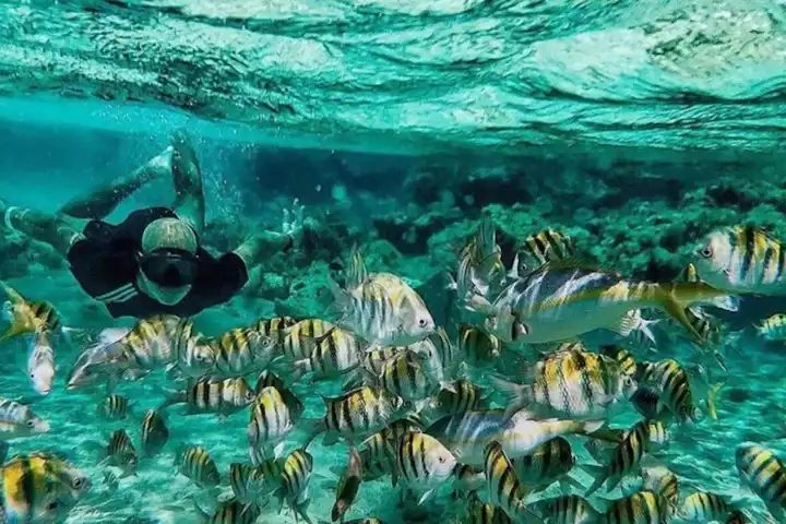 Dominican Republic Luxury Tour Caribbean Luxury Travel Ker Downey3