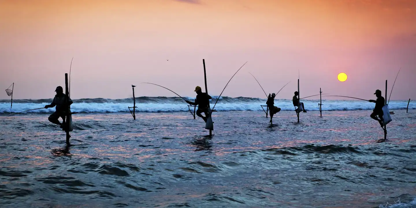 Sri_Lanka_Stilt_Fishermen