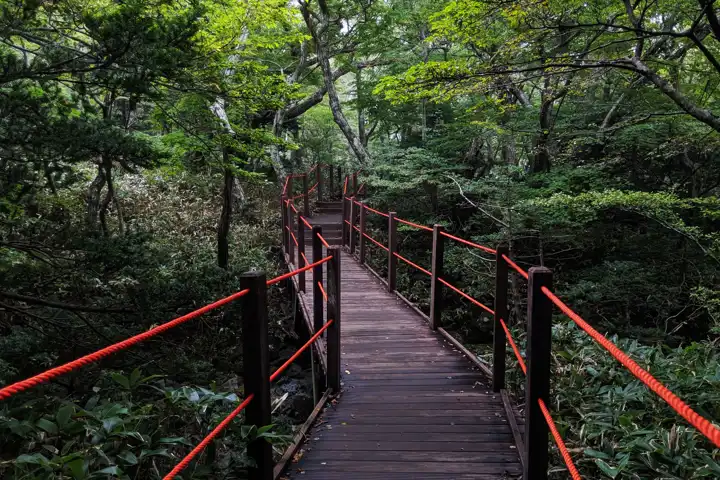 Korean Wellness Retreat HERO