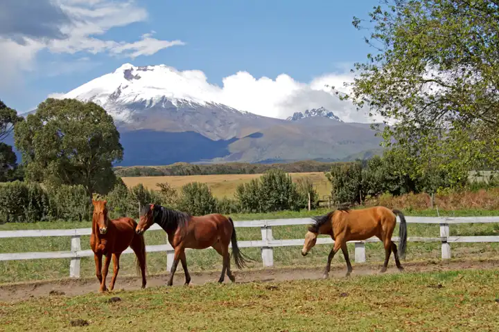 Luxury Ecuador Travel The Amazon And Andes FEATURE Hacienda San Agustin De Callo