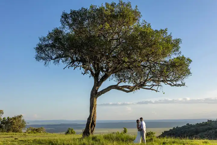Luxury Kenya Honeymoon On Safari FEATURE Angamamara
