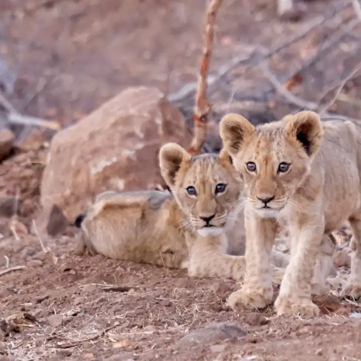 Matetsivictoriafalls
