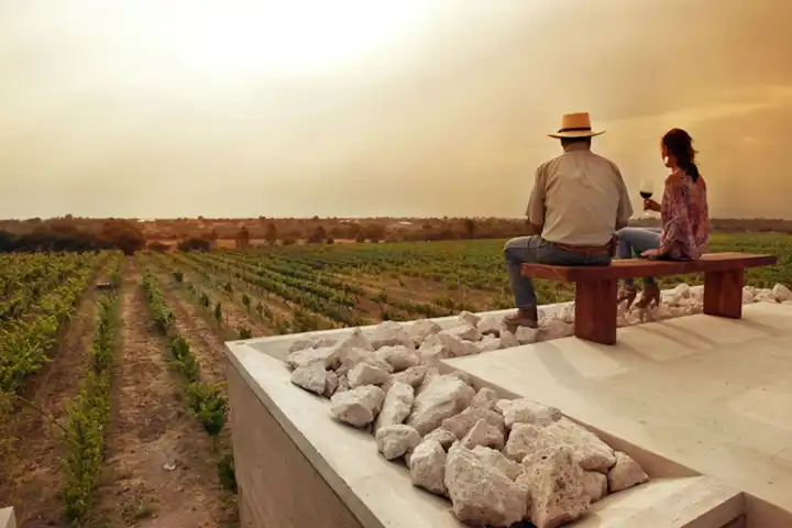 Mexico Culinary Tour HERO Mexico Tourism Board