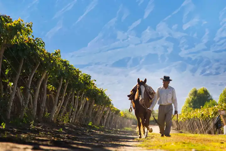 Northwest Argentina Fine Wines And Frontiers HERO Grace Cafayate