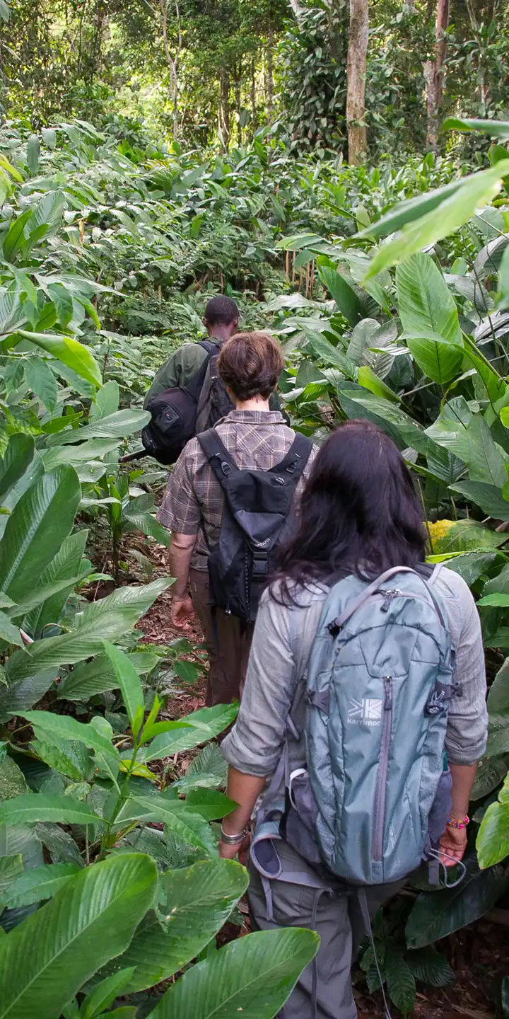Republic_of_Congo_Odzala-Kokoua_National_Park