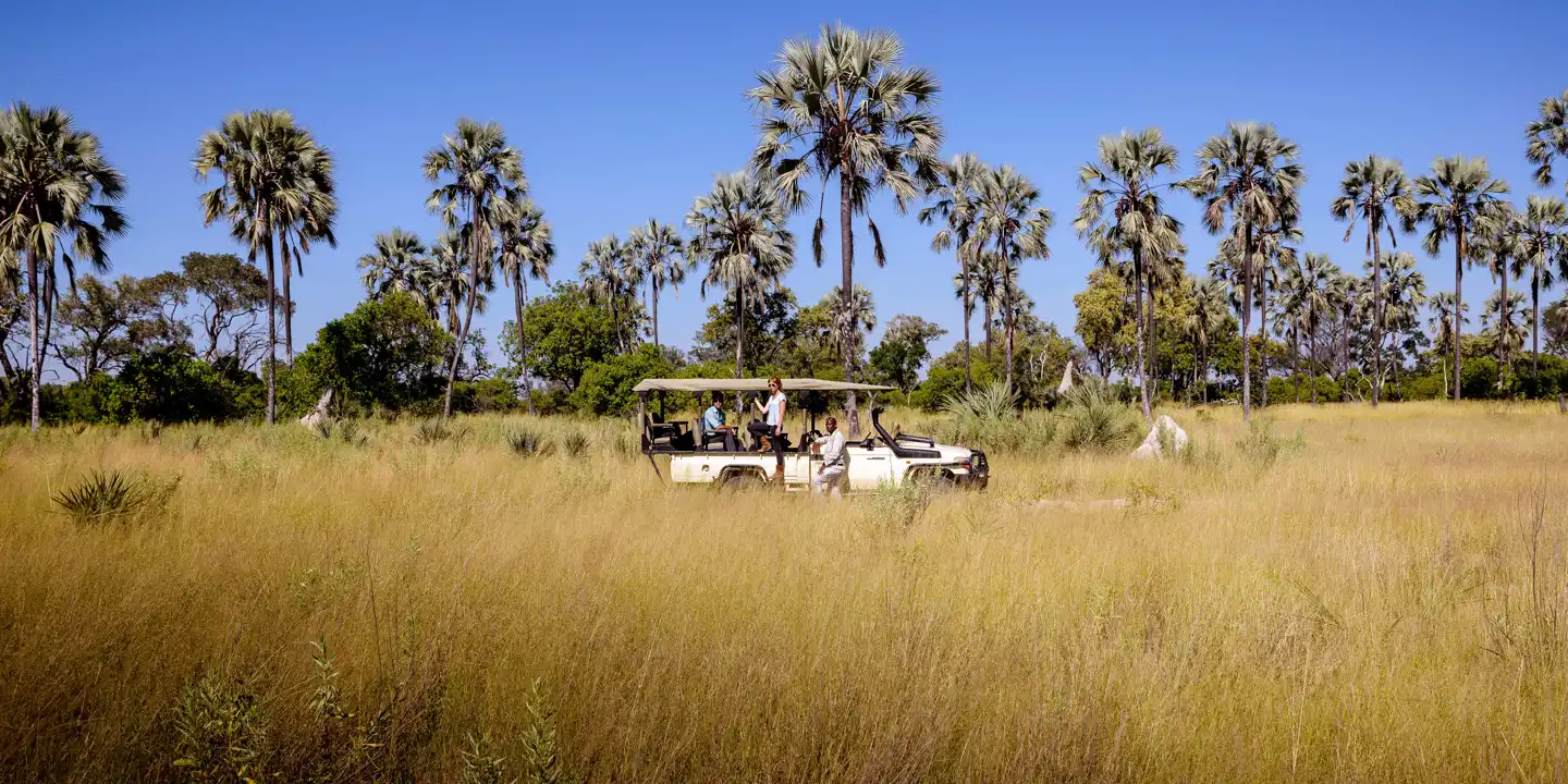 Sanctuary_Chiefs_Safari