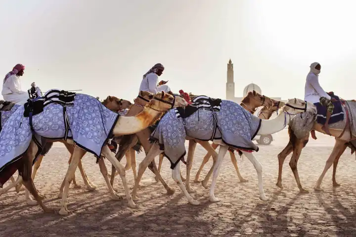 Sands Of Arabia HERO