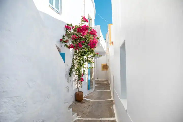 Secret Cyclades FEATURE