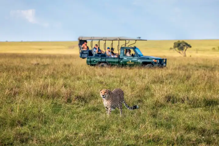The Mara Safari HERO Elewana Elephant Pepper Camp