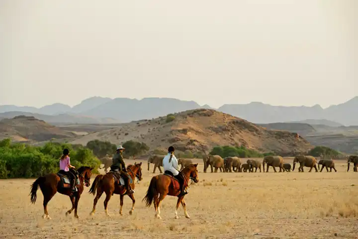 The Namibia Horse Safari By Ker & Downey HERO Damara Elephant Safari
