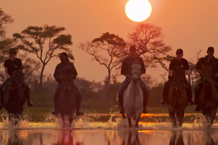 The Okavango Horse Safari By Ker & Downey HERO