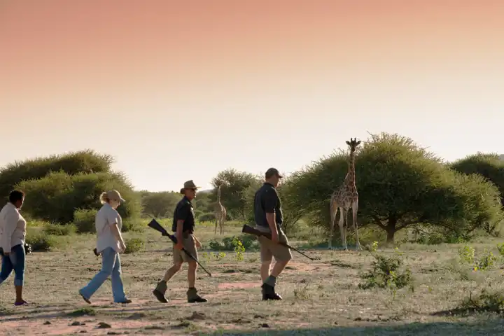 The South Africa Walking Safari By Ker & Downey FEATURE Marataba