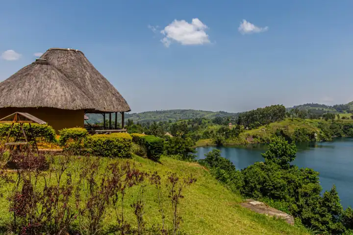 The Uganda Primate Safari Adventure HERO Cratersafarilodge