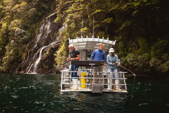 Travel To New Zealand From Farm To Fjord FEATURE IDNZ