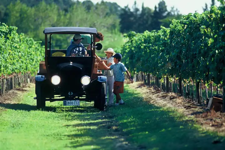 Wines Of Uruguay HERO Bodega Bouza